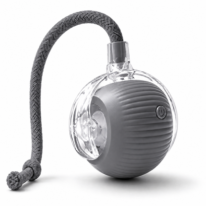 Smart Motion Pet Ball Toy – Interactive USB Rechargeable Play Ball for Cats & Dogs